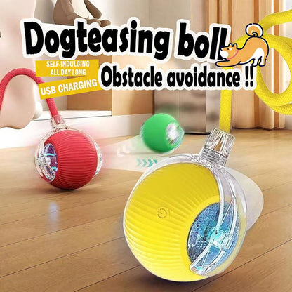 ROZINO Interactive Dog&Cat Toys 2025 Upgraded Durable USB Rechargeable Automatic Rolling Ball with Obstacle Avoidance Technology for Small Medium Large Pets