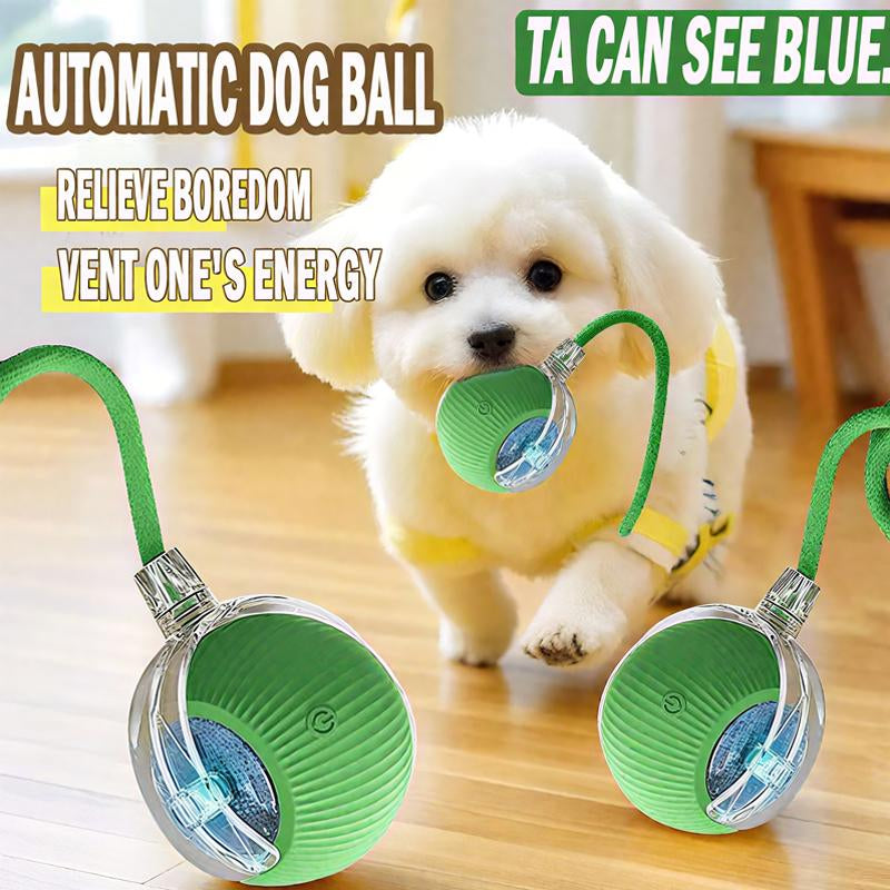 ROZINO Interactive Dog&Cat Toys 2025 Upgraded Durable USB Rechargeable Automatic Rolling Ball with Obstacle Avoidance Technology for Small Medium Large Pets